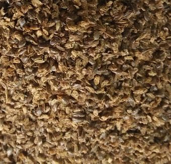 Cheap Sun dried waterfly fish feed factory